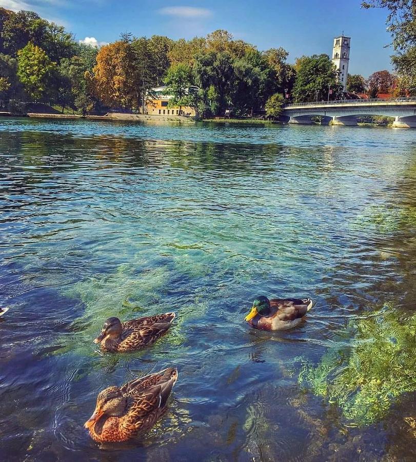 Apartman River Una Біхач Екстер'єр фото